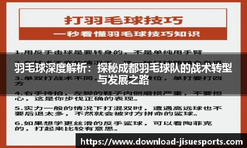 羽毛球深度解析:探秘成都羽毛球队的战术转型与发展之路
